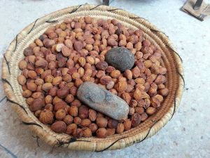 argan nuts 2